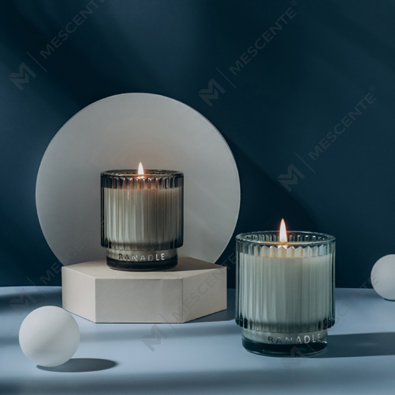 M&Scent Fragrances 와일드 민트 & 유칼립투스 빅 항아리 양초 향