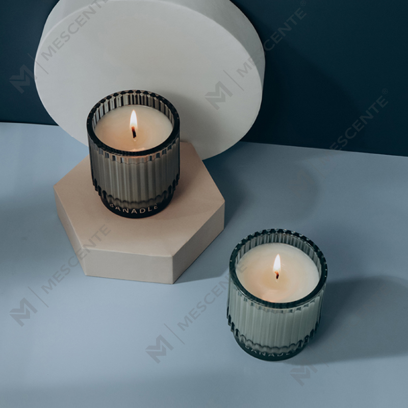 M&Scent Fragrances 와일드 민트 & 유칼립투스 빅 항아리 양초 향