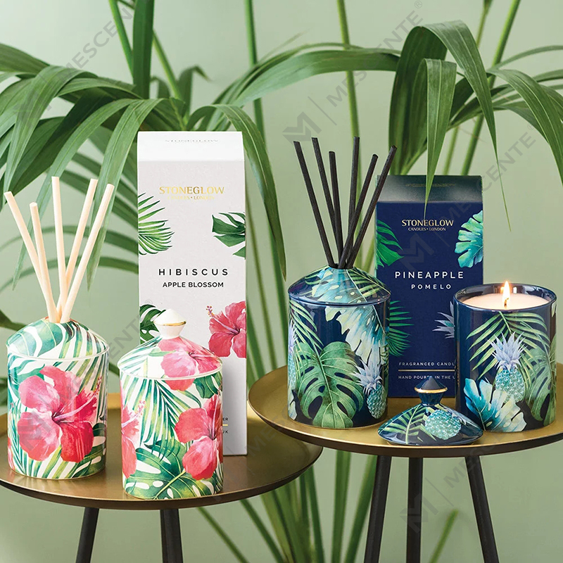 M&Scent 스페셜 디자인 컬러 Urban Botanics 텀블러 캔들(접이식 상자 포함)