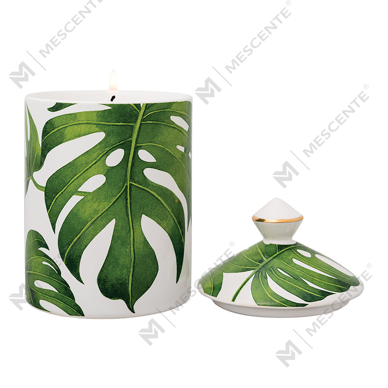 M&Scent 스페셜 디자인 컬러 Urban Botanics 텀블러 캔들(접이식 상자 포함)